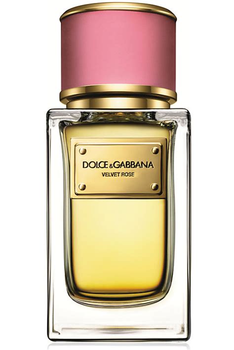 dolce gabbana rotes parfum|dolce and gabbana unisex fragrance.